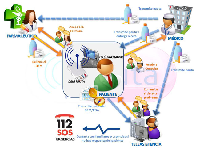 Estructura del proyecto Pauta
